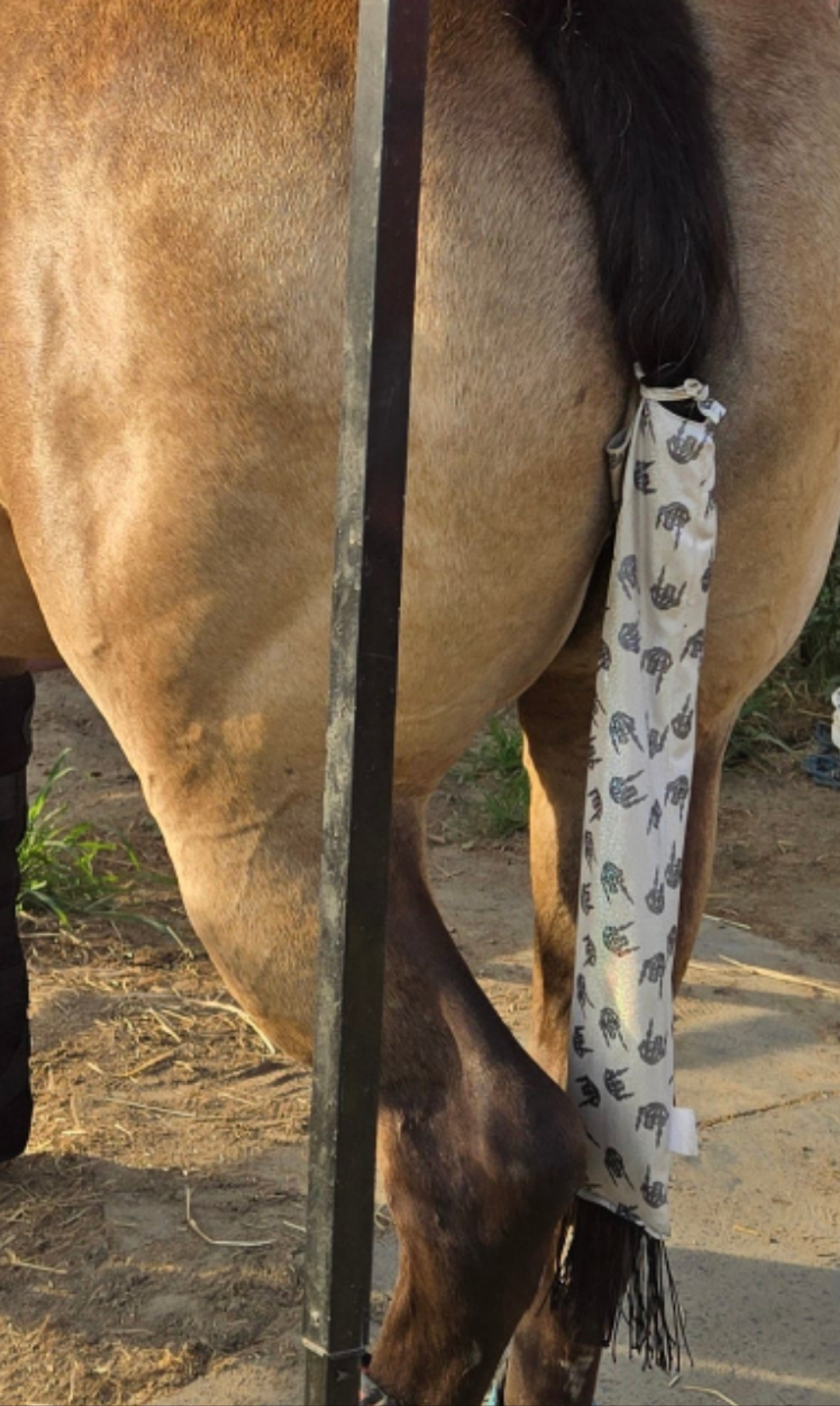 Holographic Tailbags