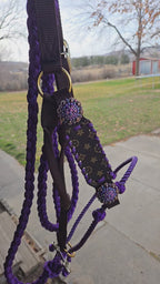 Purple Bougie Lariat Halter