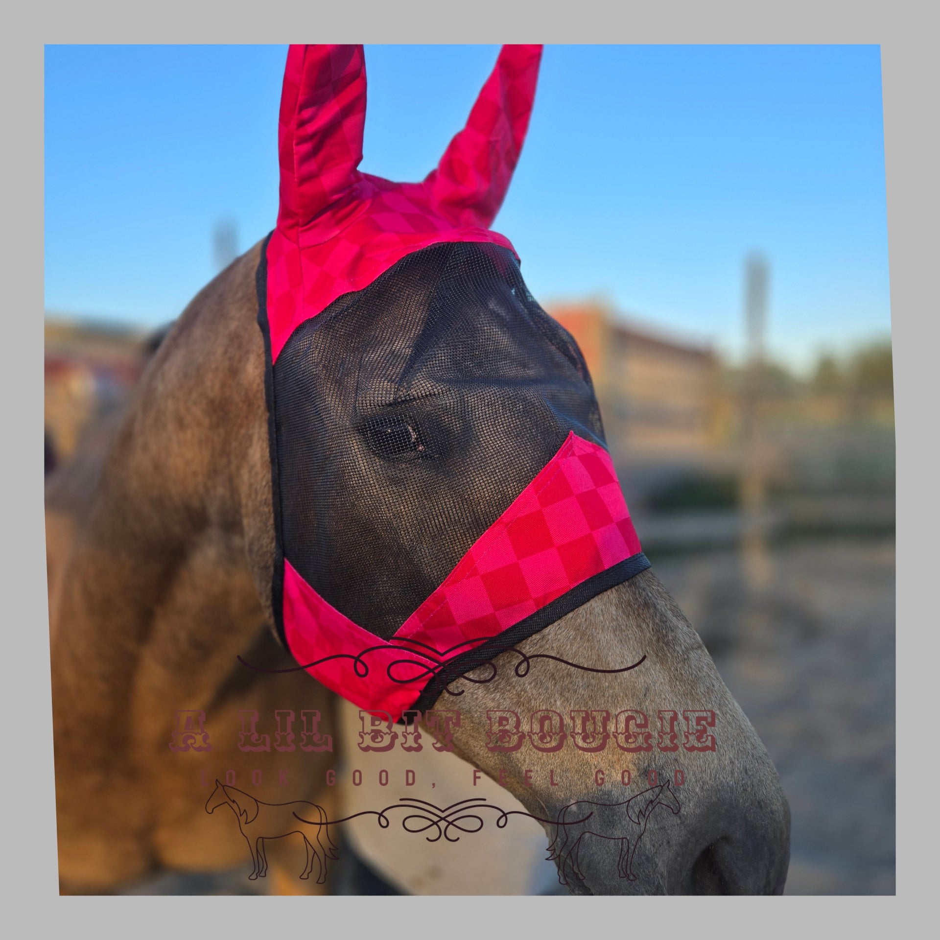 Fly Mask