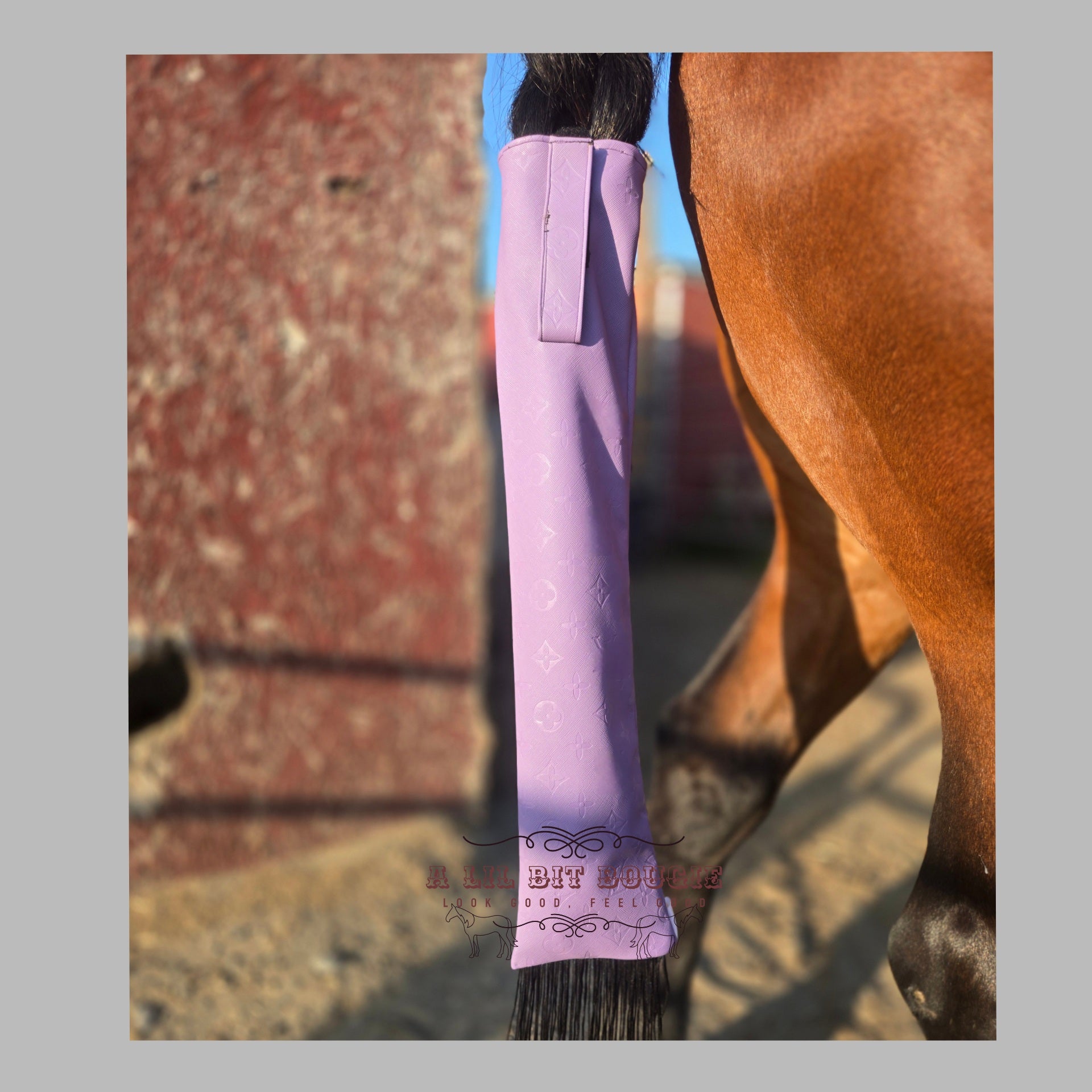 Bougie Inspired Tailbag