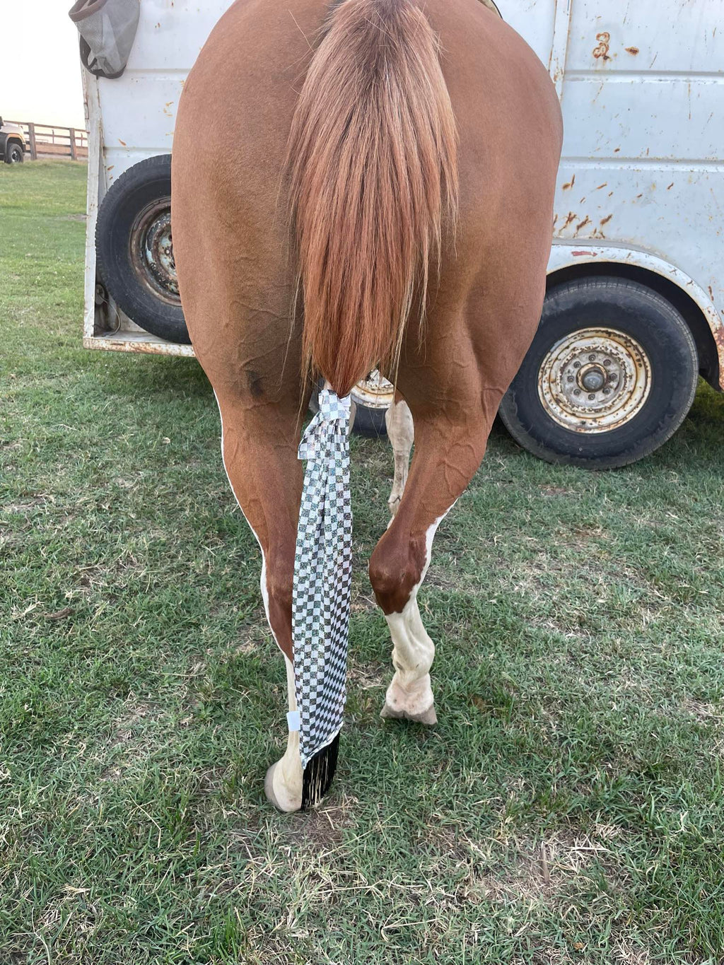 Holographic Tailbags