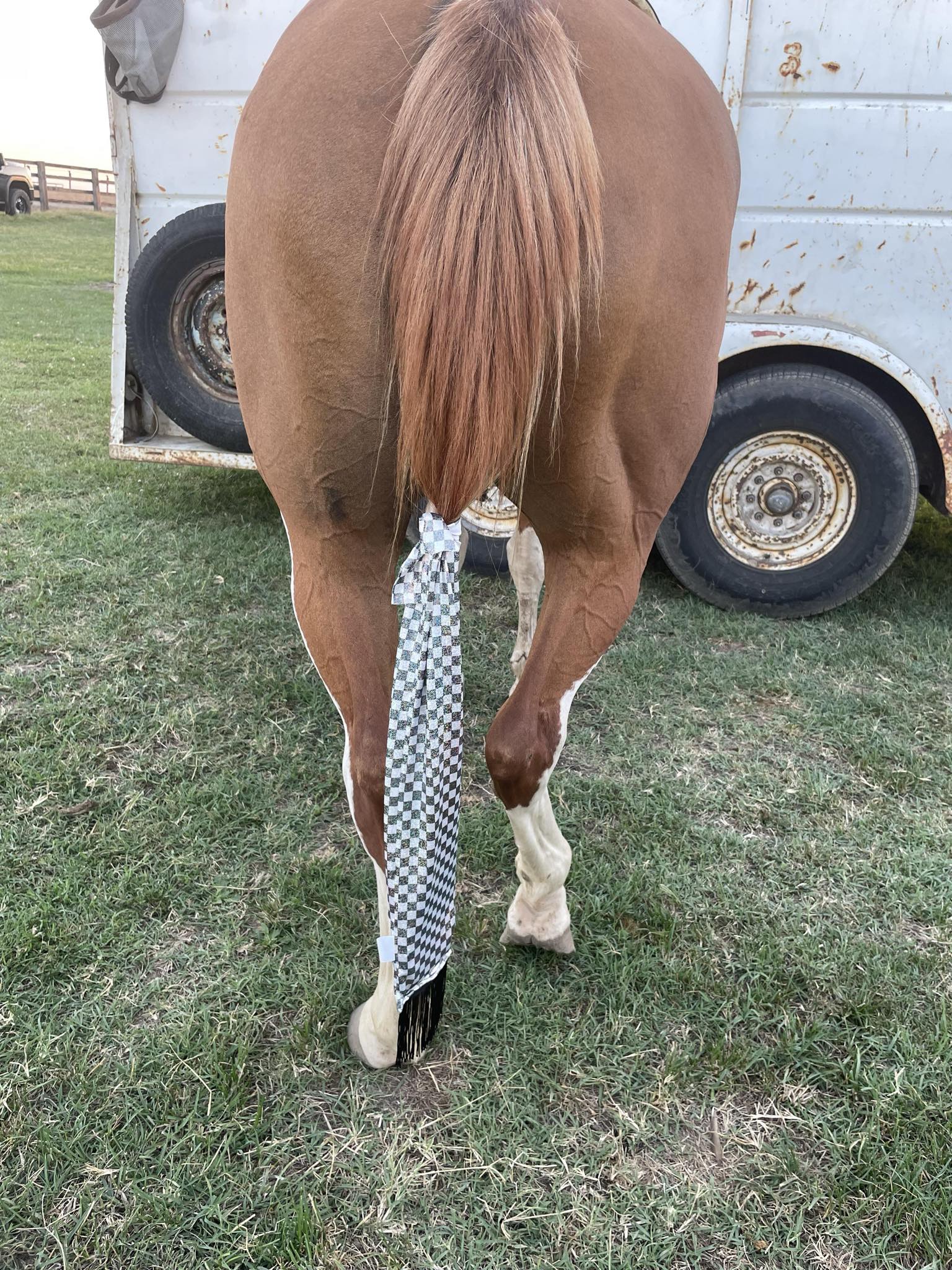 Holographic Tailbags