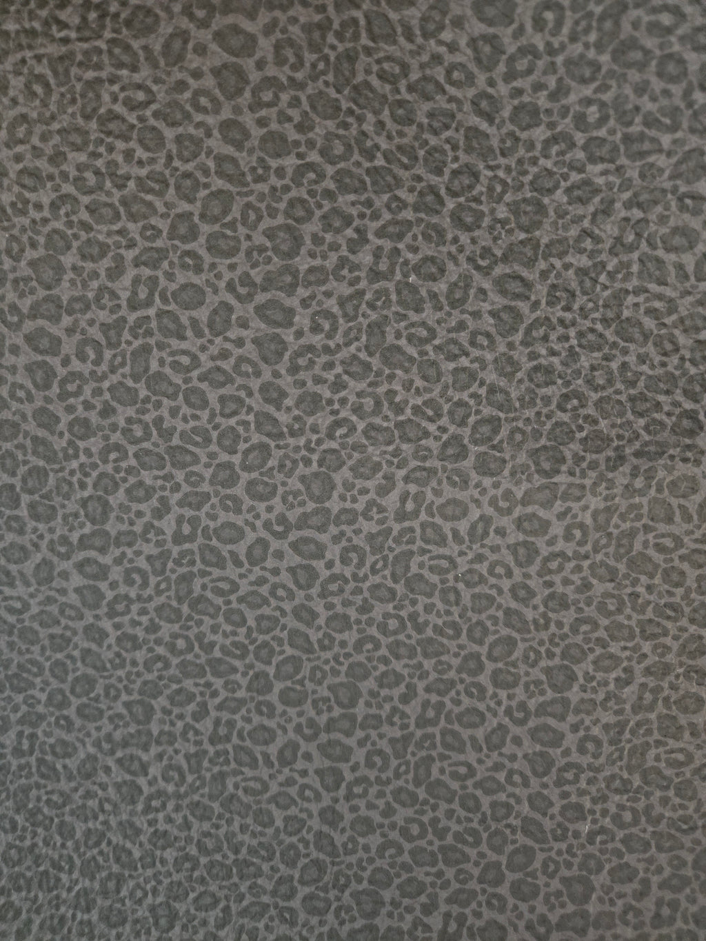 Black Leopard Sport Boots