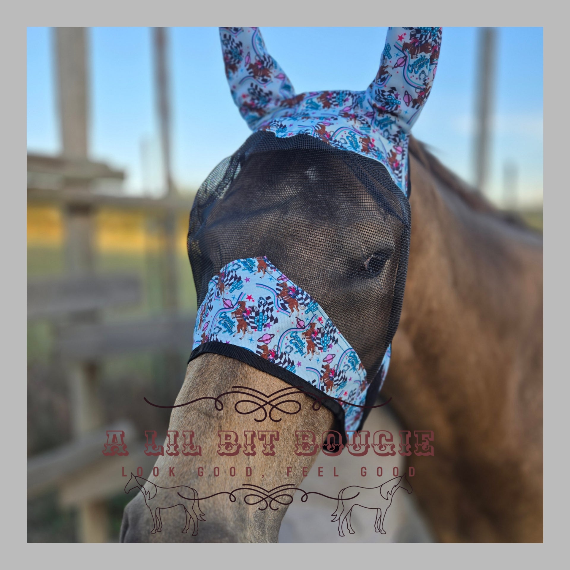 Fly Mask